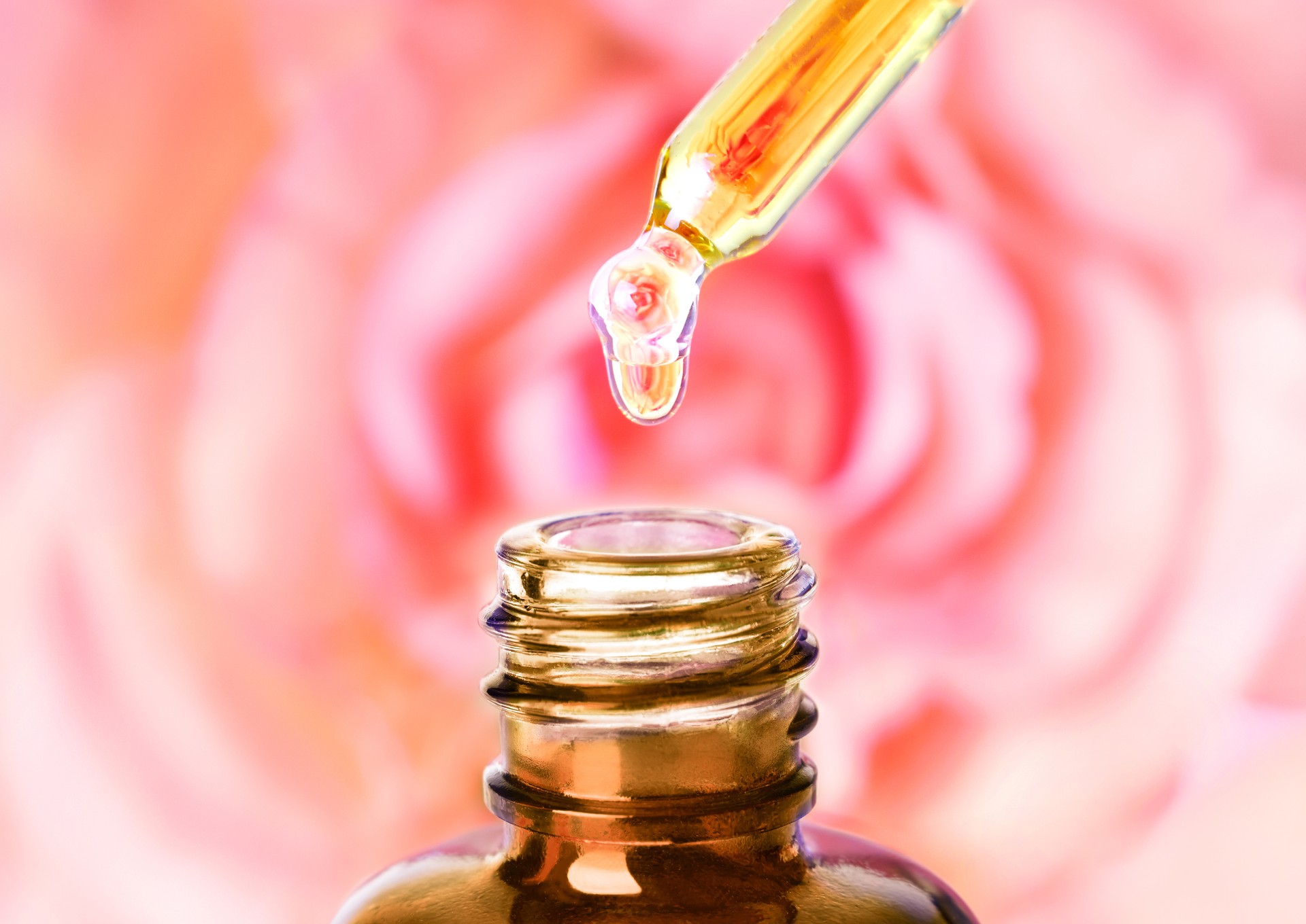 Essential rose oil water dropping from pipette to bottle. Aromatherapy.